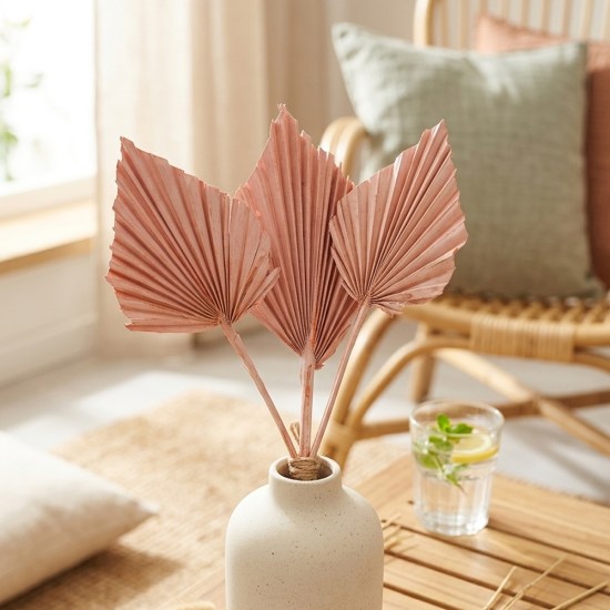 ideatree, sušené kvety, sušený list, palma, palmový list, hygge, boho dekorácie, domácnosť, nové mesto nad váhom